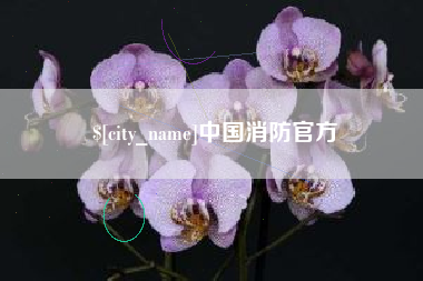 石家庄中国消防官方
