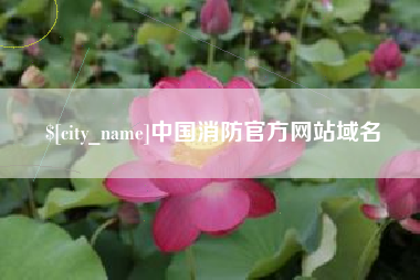 石家庄中国消防官方网站域名