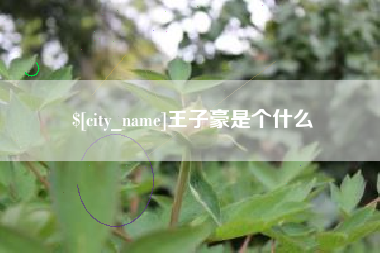 石家庄王子豪是个什么