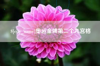 石家庄奥运金牌第二个九宫格