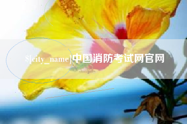 石家庄中国消防考试网官网