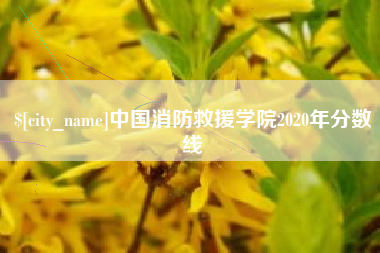 石家庄中国消防救援学院2020年分数线