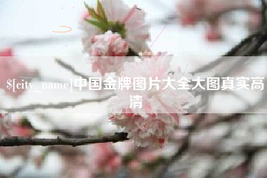 石家庄中国金牌图片大全大图真实高清