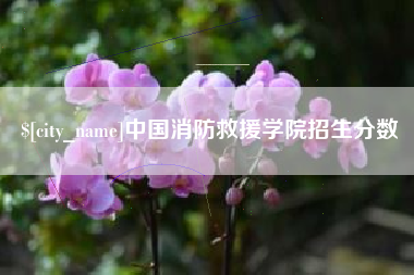 石家庄中国消防救援学院招生分数