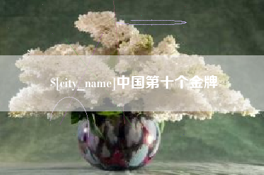 石家庄中国第十个金牌