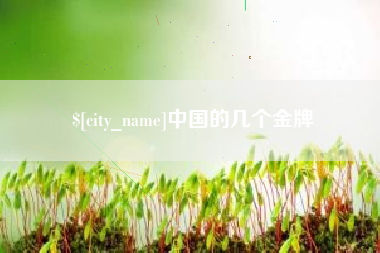石家庄中国的几个金牌