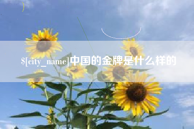 石家庄中国的金牌是什么样的
