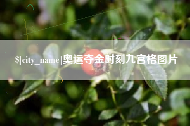 石家庄奥运夺金时刻九宫格图片
