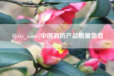 石家庄中国消防产品质量信息