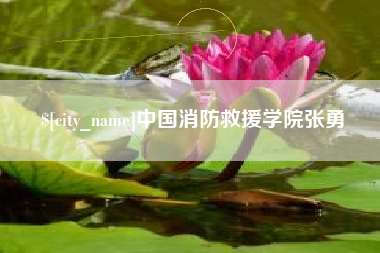 石家庄中国消防救援学院张勇