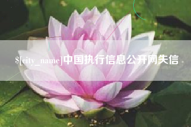 石家庄中国执行信息公开网失信