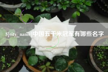 石家庄中国五千米冠军有哪些名字