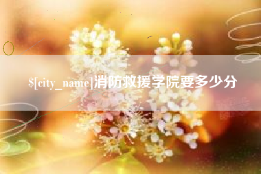 石家庄消防救援学院要多少分
