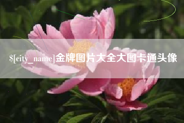 石家庄金牌图片大全大图卡通头像