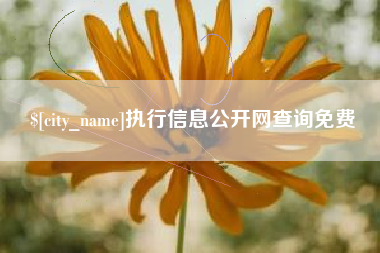 石家庄执行信息公开网查询免费